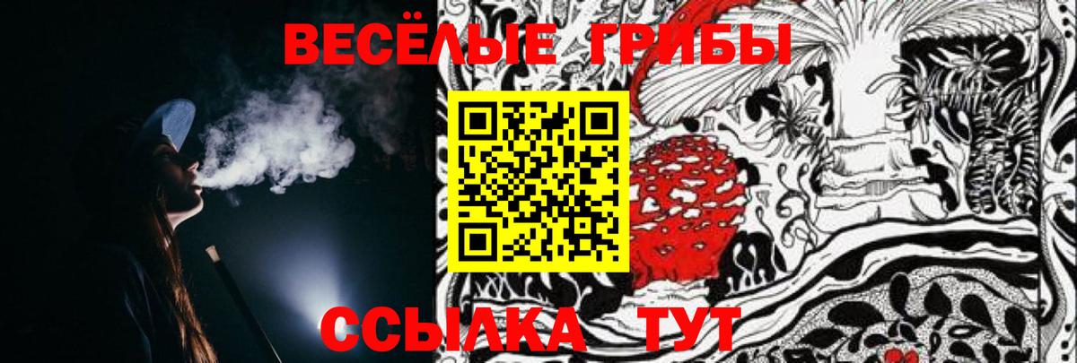 Псилоцибиновые грибы Cubensis Гусиноозёрск