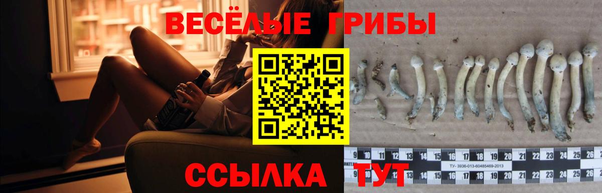 Гусиноозёрск  Псилоцибиновые грибы ЛСД  Галлюциногенные грибы Psilocybine cubensis  Вход с VPN 
